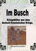 Im Busch / Kriegsbilder aus dem dt.-franz. Krieg (eBook, ePUB)