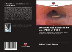 Efficacité des explosifs en vrac P100 et P600 - Yeboah Oppong, Godfred