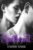 Spellbound: Destiny Romance (eBook, ePUB)
