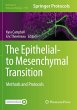 The Epithelial-to Mesenchymal Transition - Bild 1