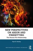 New Perspectives on Arson and Firesetting (eBook, PDF)