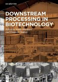 Downstream Processing in Biotechnology (eBook, PDF)