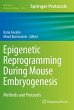 Epigenetic Reprogramming During Mouse... - Bild 1