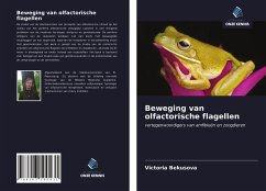 Beweging van olfactorische flagellen - Bekusova, Victoria