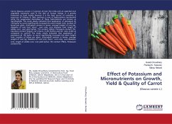 Effect of Potassium and Micronutrients on Growth, Yield & Quality of Carrot