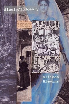 Slowly/Suddenly - Blevins, Allison