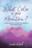 What Color Is Your Mountain?: A 7-Week Devotional to Discover Your Perspective Breakthrough With Art