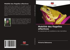 Mobilité des flagelles olfactives - Bekusova, Victoria