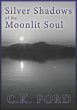 Silver Shadows of the Moonlit Soul - Bild 1