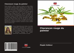 Charançon rouge du palmier - Sabbour, Magda