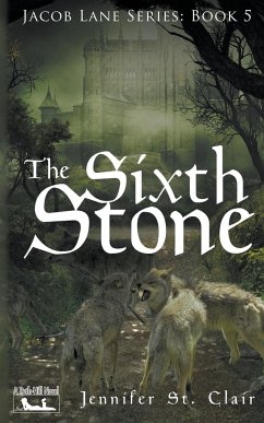 The Sixth Stone - Clair, Jennifer St.