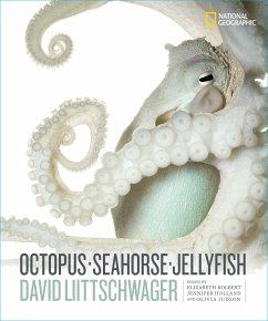 Octopus, Seahorse, Jellyfish - Littschwager, David