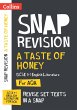 Taste of Honey Aqa GCSE 9-1 English... - Bild 1