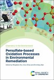 Persulfate-Based Oxidation Processes in Environmental Remediation