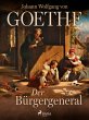 Der Bürgergeneral (eBook, ePUB) - Bild 1