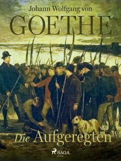 Cover Die Aufgeregten (eBook, ePUB)