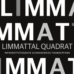 Limmattal Quadrat (eBook, ePUB)
