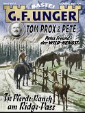 G. F. Unger Tom Prox & Pete 11 (eBook, ePUB)