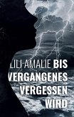 Bis Vergangenes vergessen wird (eBook, ePUB)