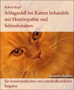 Schlaganfall bei Katzen behandeln mit Homöopathie und Schüsslersalzen (eBook, ePUB) - Kopf, Robert