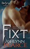 Fixt (DirtSlap Series, #4) (eBook, ePUB)