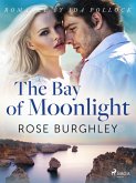 The Bay of Moonlight (eBook, ePUB)