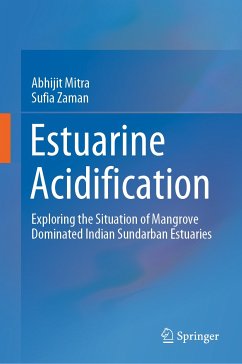 Estuarine Acidification (eBook, PDF) - Mitra, Abhijit; Zaman, Sufia