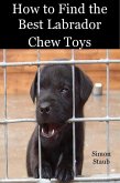 How to Find the Best Labrador Chew Toys (Dog training, #4) (eBook, ePUB)