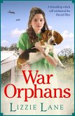 War Orphans (eBook, ePUB)