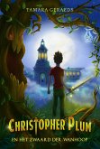 Christopher Plum en het zwaard der wanhoop (Christopher Plum-serie, #1) (eBook, ePUB)