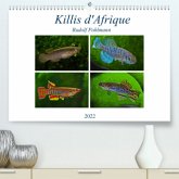 Killis d'Afrique (Premium, hochwertiger DIN A2 Wandkalender 2022, Kunstdruck in Hochglanz)