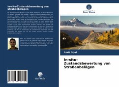 In-situ-Zustandsbewertung von Straßenbelägen - Goel, Amit