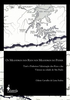 Cover Os meandros dos rios nos meandros do poder (eBook, ePUB)