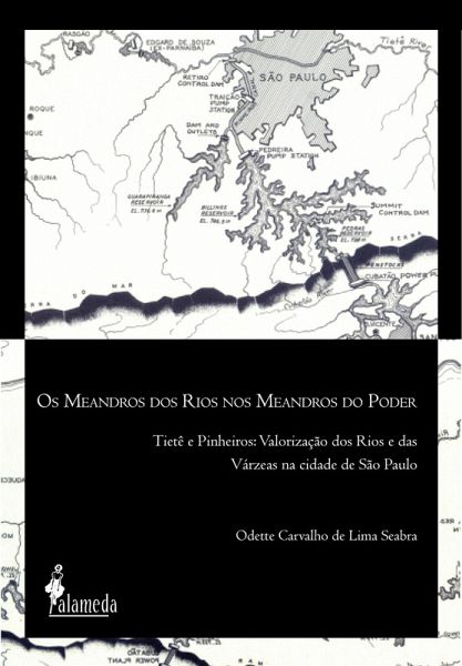 Os meandros dos rios nos meandros do poder (eBook, ePUB)