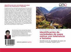 Identificación de variedades de papa nativa con tolerancia a heladas - Marmolejo Gutarra, Doris; Ruiz Velásquez, Jerson E.