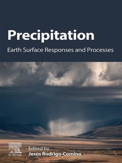 Precipitation (eBook, ePUB)