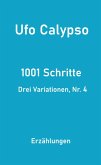 1001 Schritte - Drei Variationen, Nr. 4 (eBook, ePUB)