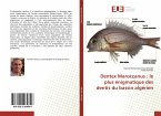 Dentex Maroccanus : le plus énigmatique des dentis du bassin algérien