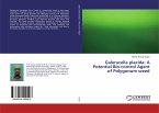 Galerucella placida: A Potential Bio-control Agent of Polygonum weed