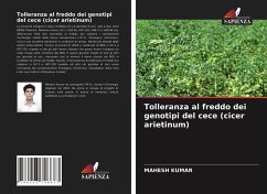 Tolleranza al freddo dei genotipi del cece (cicer arietinum) - Kumar, Mahesh