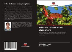 Effet de l'azote et du phosphore - Patel, Dishaben;Chawla, S. L.