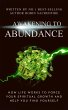 Awakening to Abundance (eBook, ePUB) - Bild 1