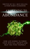 Awakening to Abundance (eBook, ePUB)