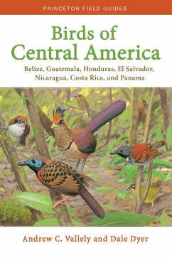 Birds of Central America (eBook, ePUB) - Vallely, Andrew; Dyer, Dale