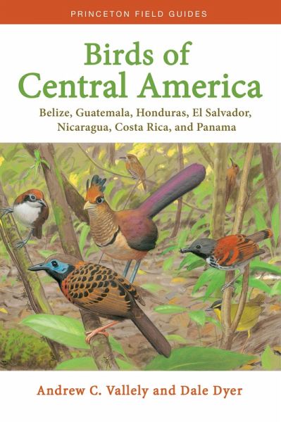Birds of Central America (eBook, ePUB) Birds of Central America (eBook, ePUB)