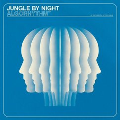 Algorhythm - Jungle By Night