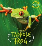 Lifecycles: Tadpole to Frog (eBook, ePUB)
