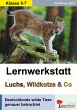 Lernwerkstatt Luchs, Wildkatze & Co - Bild 1