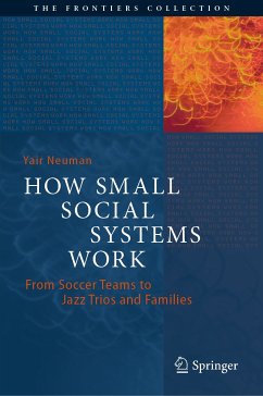 How Small Social Systems Work (eBook, PDF) - Neuman, Yair