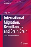 International Migration, Remittances and Brain Drain (eBook, PDF)
